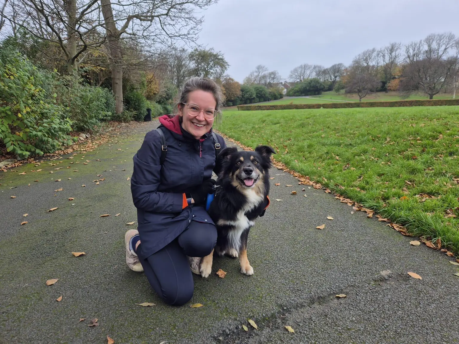 The Dog Walking Team